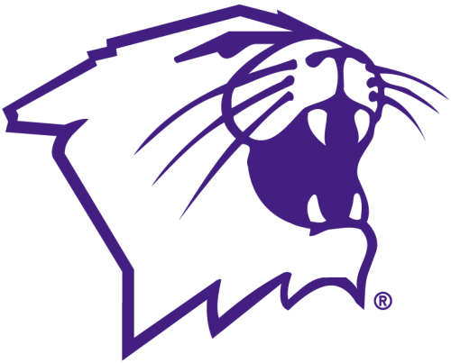 Northwestern Wildcats 1981-Pres Partial Logo 01 heat sticker