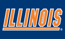 Illinois Fighting Illini 1989-2013 Wordmark Logo 04 custom vinyl decal