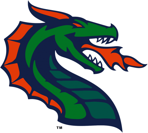 Seattle Dragons 2020-Pres Primary Logo custom vinyl decal