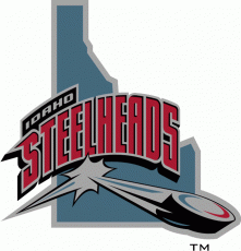 Idaho Steelheads 2004 05-2005 06 Alternate Logo heat sticker