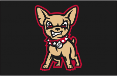 El Paso Chihuahuas 2017-Pres Cap Logo heat sticker