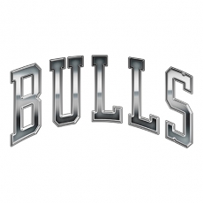 Chicago Bulls Silver Logo heat sticker