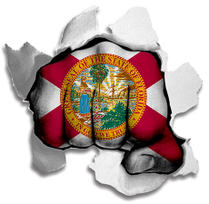 Fist Florida State Flag Logo heat sticker