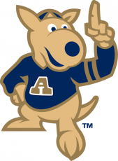 Akron Zips 2002-Pres Mascot Logo custom vinyl decal