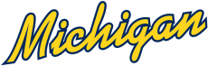 Michigan Wolverines 1996-Pres Wordmark Logo 06 custom vinyl decal