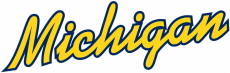 Michigan Wolverines 1996-Pres Wordmark Logo 06 heat sticker