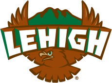 Lehigh Mountain Hawks 1996-2003 Primary Logo custom vinyl decal