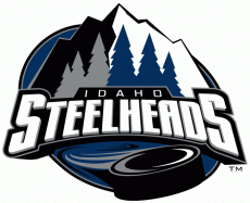 Idaho Steelheads 2011 12-Pres Alternate Logo heat sticker