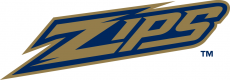 Akron Zips 2002-2013 Wordmark Logo 02 custom vinyl decal
