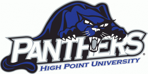 High Point Panthers 2004-2011 Primary Logo custom vinyl decal