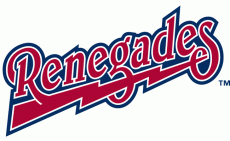 Hudson Valley Renegades 1998-2012 Wordmark Logo heat sticker