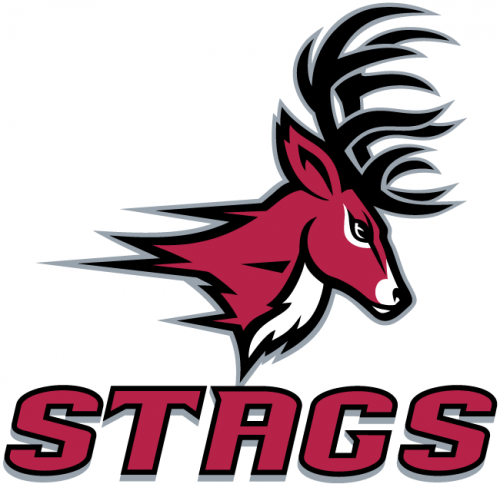 Fairfield Stags 2002-Pres Alternate Logo 03 custom vinyl decal