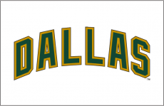 Dallas Stars 2008 09-2012 13 Jersey Logo heat sticker