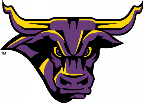 Minnesota State Mavericks 2001-Pres Partial Logo custom vinyl decal