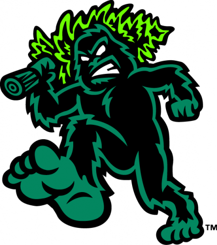 Eugene Emeralds 2013-Pres Alternate Logo 3 heat sticker