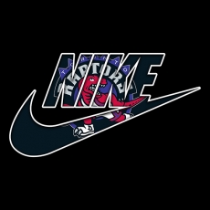 Toronto Raptors Nike logo heat sticker