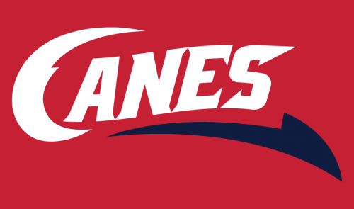 Lethbridge Hurricanes 2013 14-Pres Secondary Logo 2 custom vinyl decal