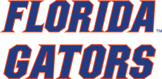 Florida Gators 2013-Pres Wordmark Logo 06 custom vinyl decal