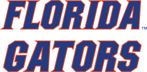 Florida Gators 2013-Pres Wordmark Logo 06 heat sticker