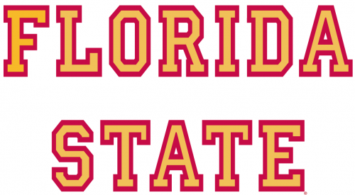 Florida State Seminoles 1976-2013 Wordmark Logo 01 heat sticker