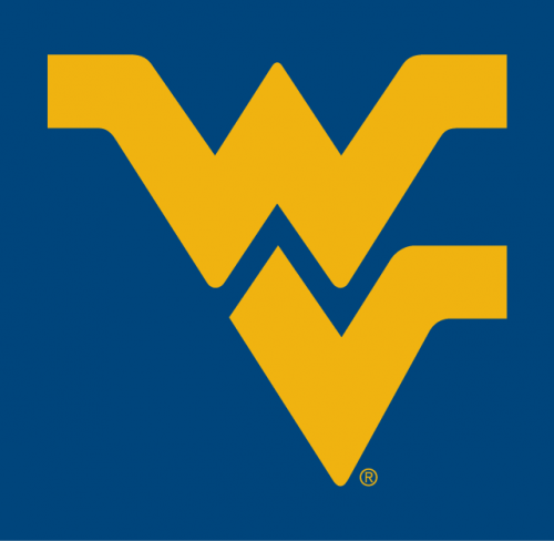 West Virginia Mountaineers 1980-Pres Alternate Logo 01 custom vinyl decal