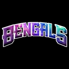 Galaxy Cincinnati Bengals Logo heat sticker