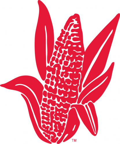 Nebraska Cornhuskers 1962-1971 Alternate Logo heat sticker
