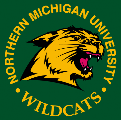 Northern Michigan Wildcats 1993-2015 Alternate Logo 01 heat sticker