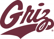 Montana Grizzlies 1996-Pres Secondary Logo 01 heat sticker