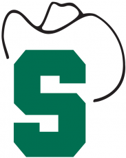 Stetson Hatters 1978-1994 Primary Logo custom vinyl decal