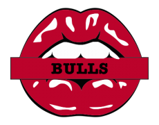 Chicago Bulls Lips Logo heat sticker