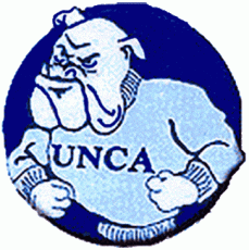 North CarolinaAsheville Bulldogs 1989-1997 Primary Logo heat sticker