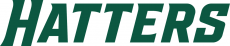 Stetson Hatters 2018-Pres Wordmark Logo 02 heat sticker