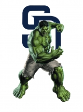 San Diego Padres Hulk Logo custom vinyl decal