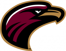 Louisiana-Monroe Warhawks 2006-Pres Secondary Logo custom vinyl decal
