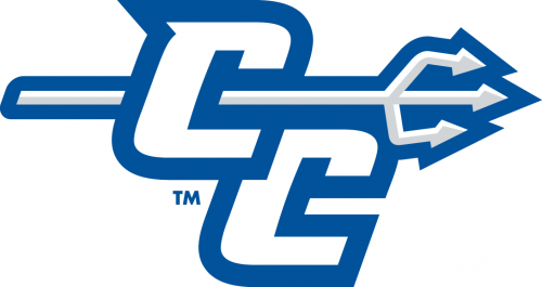 Central Connecticut Blue Devils 2011-Pres Alternate Logo 03 heat sticker