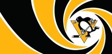 007 Pittsburgh Penguins logo heat sticker