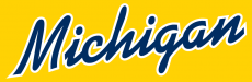 Michigan Wolverines 1996-Pres Wordmark Logo 14 custom vinyl decal
