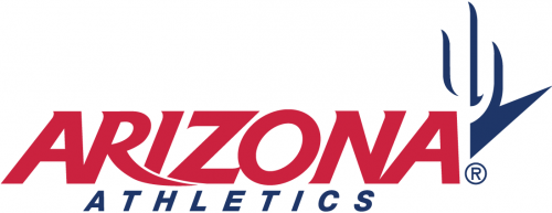 Arizona Wildcats 2003-2012 Wordmark Logo 04 heat sticker