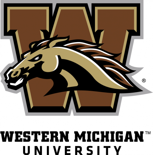 Western Michigan Broncos 2016-Pres Secondary Logo heat sticker