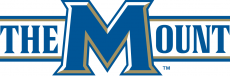 Mount St. Marys Mountaineers 2004-Pres Alternate Logo 03 heat sticker