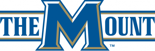 Mount St. Marys Mountaineers 2004-Pres Alternate Logo 03 custom vinyl decal