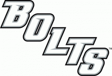 Tampa Bay Lightning 2008 09-Pres Wordmark Logo heat sticker