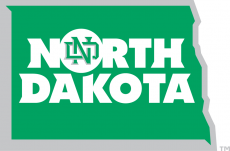 North Dakota Fighting Hawks 2012-2015 Alternate Logo 05 custom vinyl decal