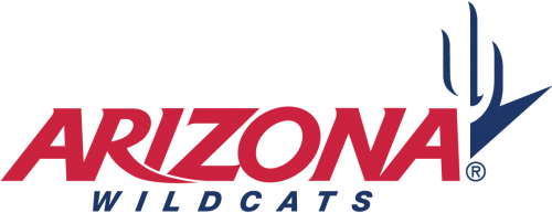 Arizona Wildcats 2003-2012 Wordmark Logo 03 heat sticker