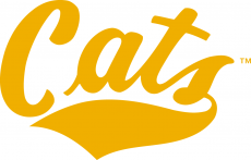 Montana State Bobcats 1982-2012 Wordmark Logo heat sticker