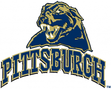Pittsburgh Panthers 2005-2015 Alternate Logo custom vinyl decal
