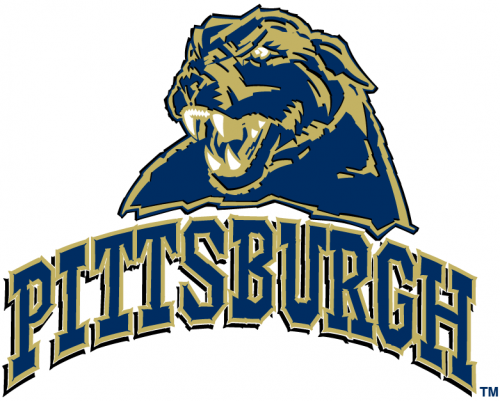 Pittsburgh Panthers 2005-2015 Alternate Logo heat sticker