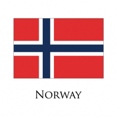 Norway flag logo heat sticker