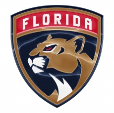 Florida Panthers Crystal Logo heat sticker